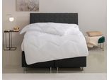 Microfaserbettdecke OTTO HOME "Sartes, Bettdecke 135x200 cm, 155x220 cm", weiß, B:155cm L:220cm, Bezug: 100% Polyester. Füllung: 100% Polyester, Bettdecken, Microfaserbettdecke, Bettdecken, Sommer, Decke, für Allergiker geeignet