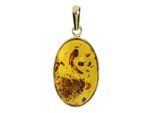 Kettenanhänger OSTSEE-SCHMUCK "- Classic 24x16 - Gold 333/000 - Bernstein" Gr. 36, gold (gold 333, goldfarben, gelb), Schmuckanhänger, Damen, Gelbgold 333, Kettenanhänger