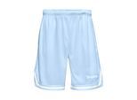 Shorts DROPSIZE "Dropsize Herren Dropsize Logo Mesh Shorts", Herren, Gr. XXL, US-Größen, blau (baby blau), 100% Polyester, loose fit, Hosen Shorts