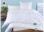 Kunstfaserbettdecke FAN "Texas", weiß, B:200cm L:200cm, Bezug: 100% Baumwolle. Füllung: 100% Polyester, Bettdecken, Kunstfaserbettdecke, bewährte Markenqualität - seit Jahrzenten geschätzt