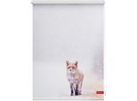 Seitenzugrollo LICHTBLICK ORIGINAL "Rollo Klemmfix, ohne Bohren, Verdunkelung, Fuchs im Schnee - Weiß Rot", rot (weiß, rot, weiß), B:90cm H:150cm, Polyester, Rollos, Seitenzugrollo