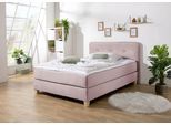 Boxspringbett HOME AFFAIRE "Fargo", lila (flieder), B:133cm L:207cm, Struktur fein (100% Polyester);Samtstoff (100% Polyester), Komplettbetten, Boxspringbett, inkl. Topper, in 3 Matratzenarten, in Samt- oder Strukturstoff