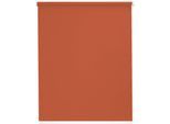 Seitenzugrollo SUNLINES "Youngstyle Uni", orange (terra, weiß), B:122cm H:180cm, Aluminium, Kunststoff, Polyester, Rollos, Seitenzugrollo