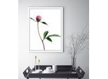 Bild QUEENCE "Manuel", grün (farbe rahmen: weiß, farbe bild(er): grün, weiß, rosa), B:50cm H:60cm, Acrylglas, Holz, Papier, Bilder, Bild, gerahmt, Rosen