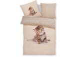 Bettwäsche OTTO HOME "Lyki", beige (katze), B/L: 135cm x 200cm, 1 Stk., 1 Stk., Microfaser, B/L: 80cm x 80cm, 2, Microfaser, Obermaterial: 100% Polyester, Bettwäsche, Bettwäsche, ab Größe 135x200 cm, 100% Polyester, Katze, Pferd, Löwe, Pinguin
