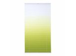 Plissee LIEDECO "Farbverlauf" Gr. 2, grün, B:60cm H:130cm, Obermaterial: 100% Polyester, Plissees, Plissee
