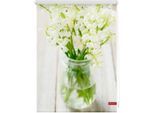 Seitenzugrollo LICHTBLICK ORIGINAL "Rollo Klemmfix, ohne Bohren, Verdunkelung, Maiglöckchen - Weiß", weiß (weiß, weiß), B:150cm H:60cm, Polyester, Rollos, Seitenzugrollo