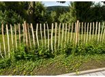 Staketenzaun KONIFERA "Rollzaun Haselnuss, HxB: 120x500 oder 150x300 cm", natur, H:120cm, Holzwerkstoff, Zaunelemente, Staketenzaun, für Abgrenzungen oder Einfassungen im Garten