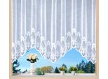 Gardine WECKBRODT "Weimar" Gr. 10, weiß, B:900cm H:175cm, Jacquard, Polyester, Gardinen, Gardine, Jacquard, Bogenstore, floral, Halbtransparent, Sockel, Bordüre, Store