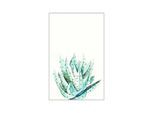 Bild KOMAR "Aloe Watercolor", bunt (farbe bild(er): bunt), B:40cm H:50cm, Holz, Papier, Bilder, Bild, Wandbild zur Dekoration - ohne Rahmen
