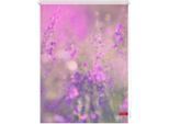 Seitenzugrollo LICHTBLICK ORIGINAL "Rollo Klemmfix, ohne Bohren, Verdunkelung, Blumenwiese", bunt (fuchsia, violett, weiß), B:150cm H:70cm, Polyester, Rollos, Seitenzugrollo