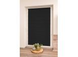 Doppelrollo K-HOME "Maringa Klemmfix" Gr. 45, schwarz, B:95cm H:200cm, Polyester, Rollos, Doppelrollo, in verschiedenen Größen und 11 Farben erhältlich