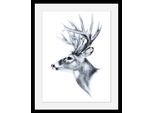 Bild QUEENCE "Hirsch", schwarz (farbe rahmen: schwarz, farbe bild(er): schwarz), B:50cm H:70cm T:3cm, Acrylglas, Holz, Papier, Bilder, Bild, HD Premium Poster-Druck inkl. Holzrahmen