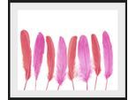 Bild QUEENCE "Ulla", pink (farbe rahmen: schwarz, farbe bild(er): pink), B:60cm H:50cm, Acrylglas, Holz, Papier, Bilder, Bild, Federn, gerahmt