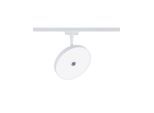 PAULMANN Schienensystem-Leuchten "URail Schienenspot Hildor 850lm 15W 4000K 230V Chrom matt", weiß, 1, Ø 16,2cm H: 22,5cm, 1 Stk., Leuchten, 3-Step-Dimmbar, Schienensystem-Leuchten