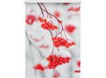 Seitenzugrollo LICHTBLICK ORIGINAL "Rollo Klemmfix, ohne Bohren, Verdunkelung, Vogelbeeren - Rot Weiß", rot (rot, weiß, weiß), B:150cm H:90cm, Polyester, Rollos, Seitenzugrollo