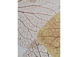 Gardine HEINE HOME Gr. 3, bunt (sanftes weiß, natur), B:135cm H:225cm, Polyester, Gardinen, Gardine