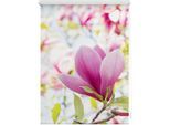 Seitenzugrollo LICHTBLICK ORIGINAL "Rollo Klemmfix, ohne Bohren, Verdunkelung, Magnolie - Rosa", rosa (rosa, weiß), B:150cm H:80cm, Polyester, Rollos, Seitenzugrollo