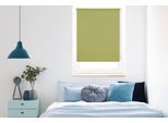 Seitenzugrollo MYDECO "Win" Gr. 2, grün (grün, weiß), B:120cm H:160cm, Polyester, Rollos, Seitenzugrollo, bis Breite 120cm