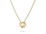 Kette mit Anhänger LIEBESKIND BERLIN "Schmuck Geschenk Edelstahl Halskette The D-Link Mini", gold (gelbgoldfarben), Halsketten, Damen, Edelstahl, L: 45 B: 2mm, B:2mm
