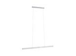 PAULMANN LED Pendelleuchte "Aptare RGBW+", aluminiumfarben, 2, H: 150cm, 1 Stk., Leuchten, Smart Home, LED Pendelleuchte