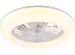 REALITY LEUCHTEN LED Deckenleuchte "MORA mit Ventilator, Deckenventilator mit Licht inkl. Fernbedienung", weiß, 1, Ø 45cm H: 14cm, 1 Stk., Leuchten, 3 Geschwindigkeiten Timer, LED dimmbar CCT Nachtlicht, LED Deckenleuchte