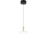 TRIO LEUCHTEN LED Pendelleuchte "CELESTE dimmbare LED Hängelampe aus Metall und Glas, 10W 1100 Lumen", braun (coffee), 1, Ø 22cm H: 200cm, 1 Stk., Leuchten, einfach höhenverstellbar von 50-200 cm, Ø 22cm, 3-Stufen Dimmfunktion, LED Pendelleuchte