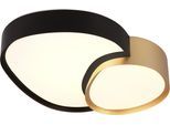 TRIO LEUCHTEN LED Deckenleuchte "RISE, LED Deckenlampe 21W 2400 Lumen warmweiß bis kaltweiß 2700-6500K", gold, 1, H: 11,5cm, 1 Stk., Leuchten, Fernbedienung dimmbar Memoryfunktion Nachtlicht CCT Lichtfarbe wählbar, LED Deckenleuchte