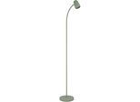 EGLO Stehlampe "CARLO Stehlampe - Stahl - E14 - 1X18W - IP20", grün, 1, H: 170cm, 1 Stk., Leuchten, Standlampe, 170 cm, Flexarm, schwenkbar, Leselampe, Wohnzimmerlampe, Stehlampe