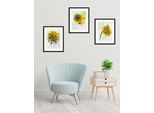 Bild QUEENCE "Set Sunflower", gelb (farbe rahmen: schwarz, farbe bild(er): gelb), B:30cm H:40cm, Acrylglas, Holz, Papier, Bilder, Bild, gerahmt