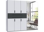 Drehtürenschrank WIMEX "Digit Kleiderschrank wahlweise mit oder ohne Spiegel", schwarz-weiß (weiß, absetzung und griffe grafit), B:225cm H:208cm T:58cm, Holzwerkstoff, Schränke, Drehtürenschrank, erhältlich in den Breiten 225cm oder 270cm (mit 8 oder 10 Türen)