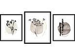 Bild QUEENCE "Set Hamara", beige (farbe rahmen: schwarz, farbe bild(er): beige), B:30cm H:40cm, Acrylglas, Holz, Papier, Bilder, Bild, gerahmt