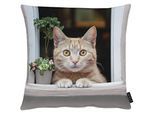 Dekokissen APELT "Mimi", braun (beige, grau, bedruckt), B:45cm H:10cm L:45cm, Mischgewebe, Dekokissen_Sitzkissen_Kissenhüllen, inclusive Soft-Kissenfüllung 100% PES