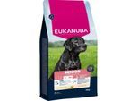 EUKANUBA Trockenfutter Hund, Senior, groß, Huhn 15 kg