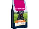 EUKANUBA Trockenfutter Hund, Junior, groß,