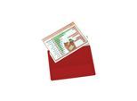Eichner Magnet-Sichttasche aus Hart-PVC DIN A4 quer, rot (9218-01820-05)
