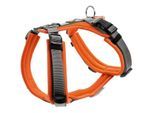 Hunter Geschirr Maldon Up orange XS-S
