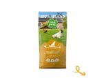 Irish Pure Adult - Huhn + Gemüse & Kelp 4 kg