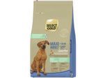 SELECT GOLD Sensitive Trockenfutter Hund Adult Maxi Seidenraupenprotein 2x12 kg