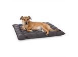 Doctor Bark Pointer Urban Kissen grau XL