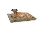 Doctor Bark Pointer Urban Kissen sandbraun XXL