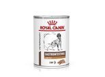 ROYAL CANIN Gastrointestinal Low Fat Mousse Nassfutter für Hunde 12x420 g