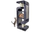 Canadian Cat Company Design Kratzbaum Steve