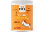 Dog-Native GelenkFit für Hunde, natürliches Gelenkpulver, Gelenk Fit Pulver mit Grünlippmuschel, MSM, Kollagen & Chondroitin für Gelenke & Knochen 500 g