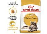 ROYAL CANIN Maine Coon Adult 10 kg