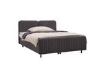 Boxbett Livetto Anthrazit ca. 140x200cm