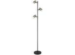 Stehleuchte Trabby Rauchfarben max. 8 Watt