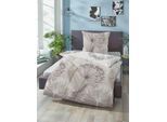 Bettwäsche BIBERNA Gr. 3, grau (taupe), B/L: 155cm x 220cm, Mako-Satin, B/L: 80cm x 80cm, 2 Stk., Mako-Satin, 100% Baumwolle, Bettwäsche, Bettwäsche