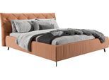 Polsterbett HOME AFFAIRE "Elloree, in 4 Breiten bis 200cm, auch in Leder", orange (pfirsich), B:216cm H:143cm L:254cm, 100% Polyester, Betten, Polsterbett, Kopfteilhöhe 105 cm, belastbar bis 280 kg, auch in Überlänge 220cm