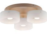 PAUL NEUHAUS LED Deckenleuchte "MARIKA", sand, 3, Ø 40cm H: 15,5cm, 1 Stk., Leuchten, Stufenlos dimmbar über den Lichtschalter, Memoryfunktion, Opalgläser, LED Deckenleuchte